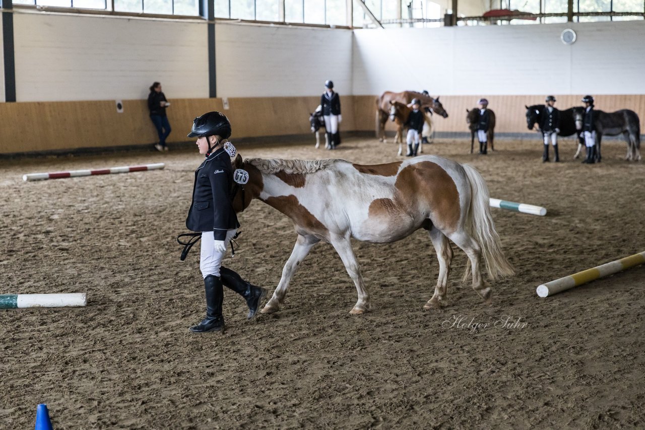 Bild 76 - Pony Akademie Turnier